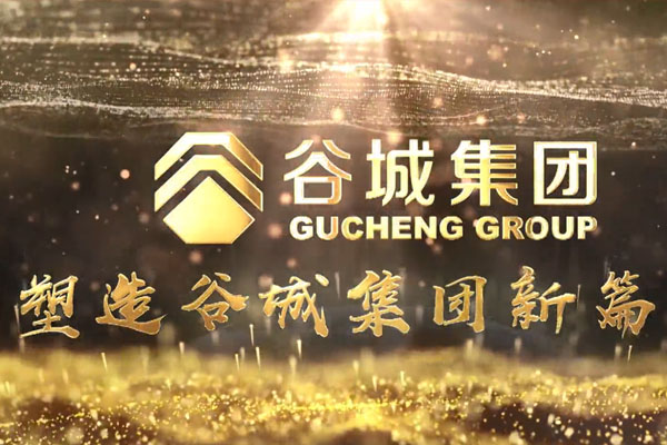 共筑新時(shí)代，不負(fù)韶華夢(mèng)——谷城集團(tuán)隆重舉行2019年度榮譽(yù)表彰大會(huì)暨2020年迎春年會(huì)